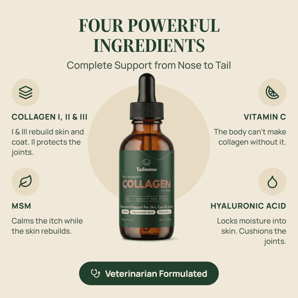 High-Absorption Liquid Collagen Complex