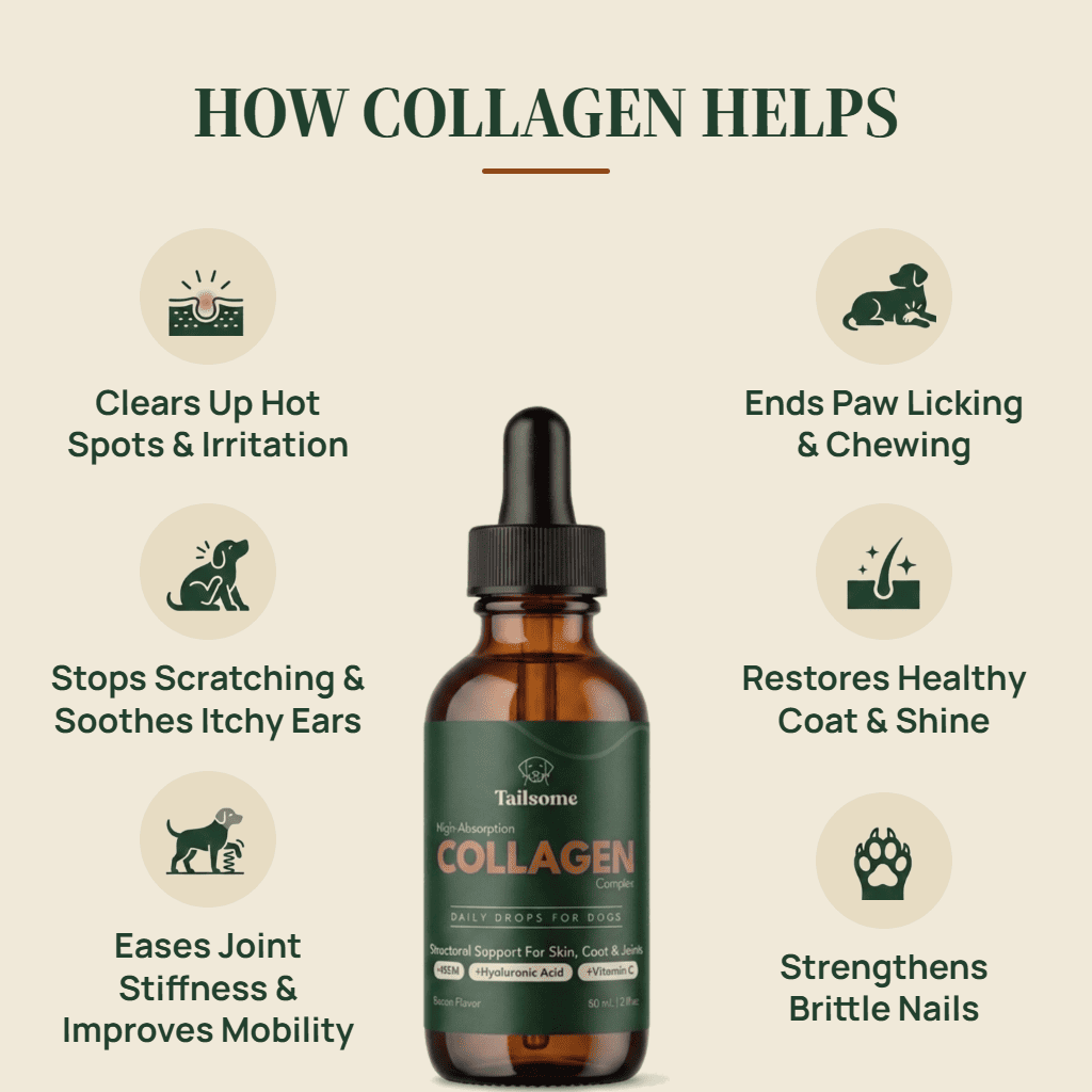 High-Absorption Liquid Collagen Complex